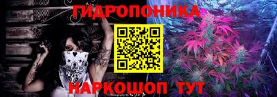 молекула духа Донецк