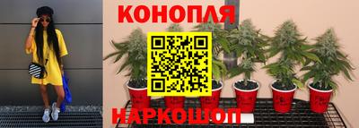 эйфоретик Донской
