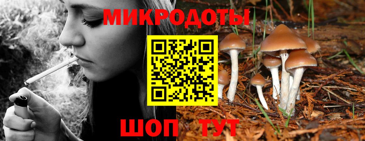 Новозыбков  Псилоцибиновые грибы Psilocybine cubensis  Вход с VPN 